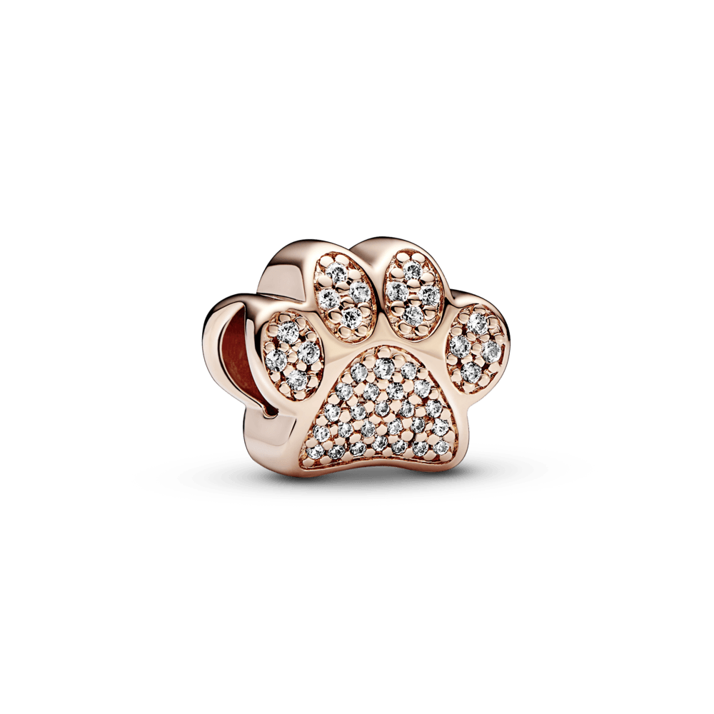 Charm p pata rose
