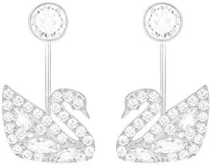 aretes SW ciscne